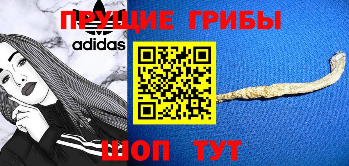 Псилоцибиновые грибы Magic Shrooms  Вход с VPN  Псилоцибиновые грибы прущие грибы  Губкинский 
